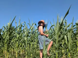 YreneA