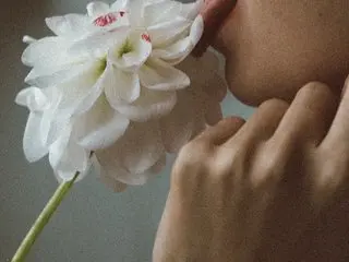 Milky-Wayxy
